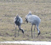 IMG_6308.JPG