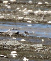 IMG_3192.jpg