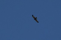 DSC_0513.JPG