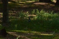 DSC_0916.jpg