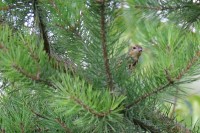 DSC_4759.jpg