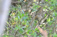 DSC_4827.jpg