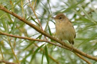 DSC_9702.jpg