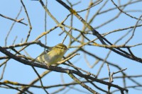 DSC_9065.jpg