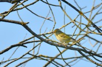 DSC_9066.jpg