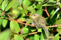 DSC_7975.jpg