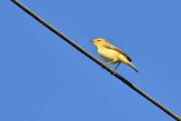 DSC_8034.jpg