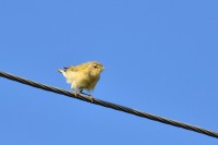 DSC_9061.jpg