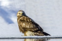 DSC_0879.jpg