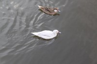 Foto 2011.9 006.jpg