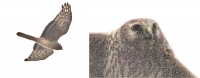 Untitled.jpg