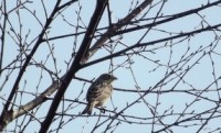 DSCF5742.JPG