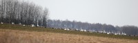 IMG_4837a.jpg