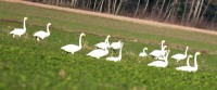 IMG_5378.jpg