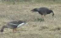 DSCF5506.JPG