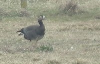 DSCF5515.JPG