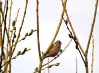 DSCF5873.JPG