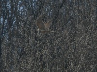 DSC_1836.jpg