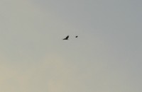 DSC_1723.jpg