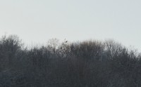 DSC_1719.jpg