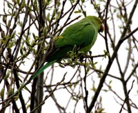 IMG_6309.jpg
