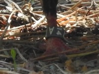 DSCN5803.JPG