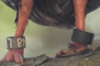 DSCN5810.JPG