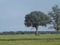 DSCF6807.JPG
