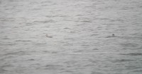 20161121_124512.jpg