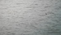 20161121_124516.jpg