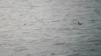 20161121_124519.jpg