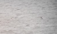 20161121_124537.jpg
