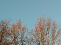 CAM01724.jpg