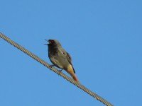 IMG_7576.JPG
