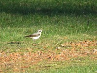 IMG_7506.JPG