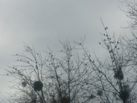 CAM01754.jpg