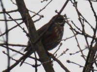 DSCN0232.jpg