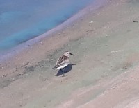 20170729_101716.jpg