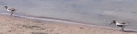 20170729_103142.jpg