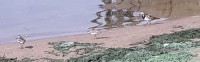 20170729_103045.jpg