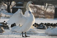 IMG_1696edit2.jpg