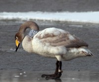 IMG_0686Ž2.jpg