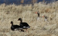 abIMG_5658.JPG