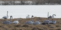 abIMG_5684.JPG