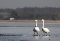 abIMG_5621.JPG