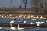 abIMG_5737.JPG
