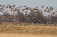 abIMG_5755.JPG