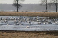 abIMG_5759.JPG