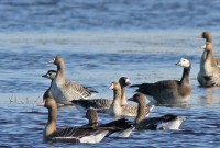 abIMG_8478.jpg