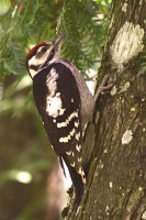 IMG_5399.JPG